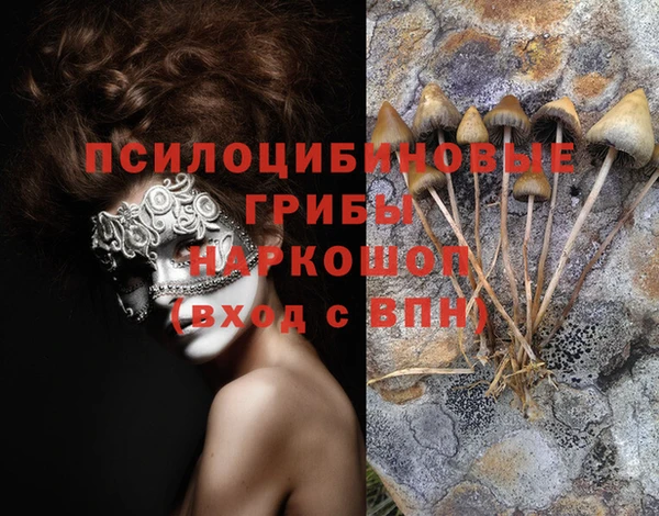 гашиш Богородицк