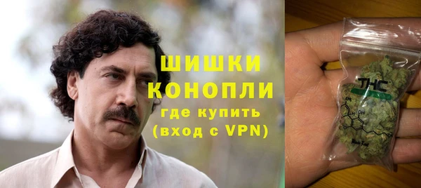 дурь Богданович