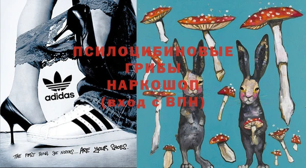 кокаин Белокуриха