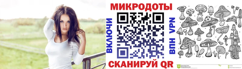 Купить где Железногорск-Илимский Псилоцибиновые грибы прущие грибы